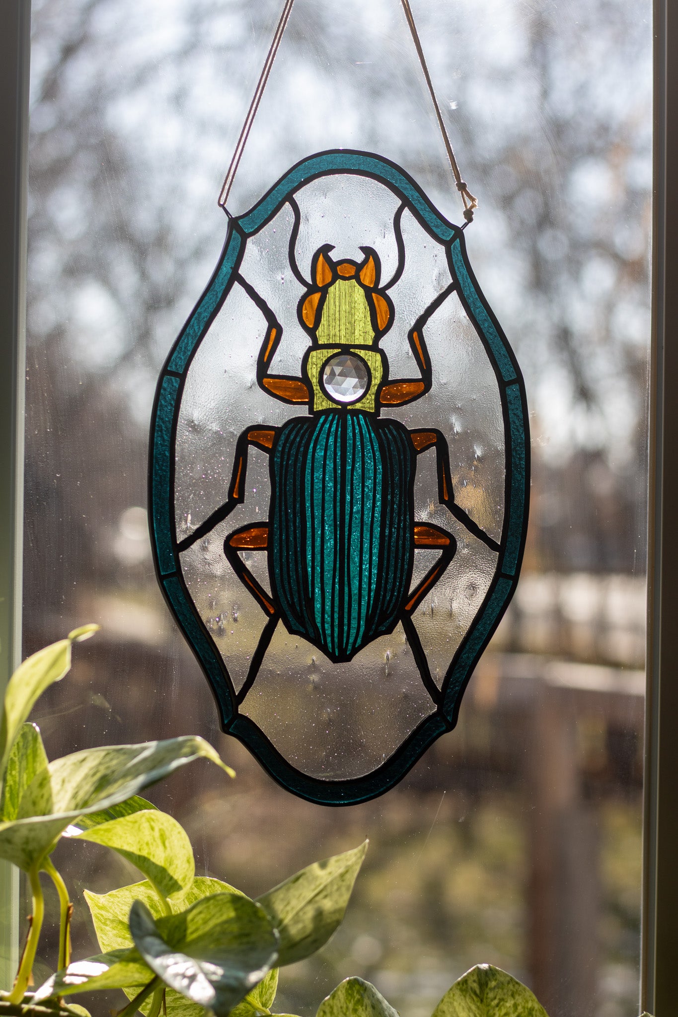 *Pre-Order* Bembidion Beetle Suncatcher
