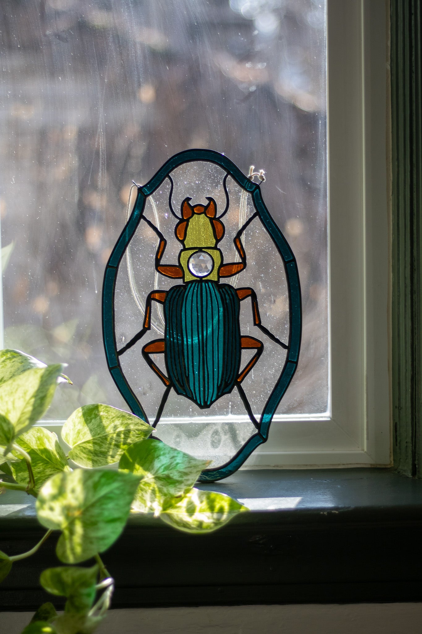 *Pre-Order* Bembidion Beetle Suncatcher