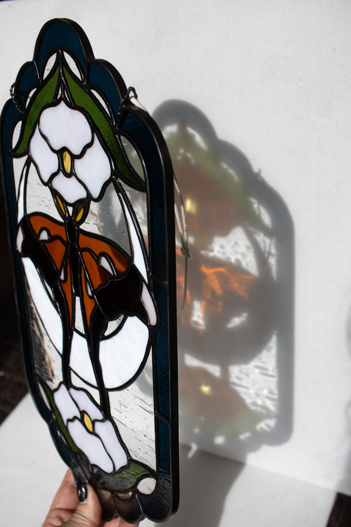 Hercules Moth Panel