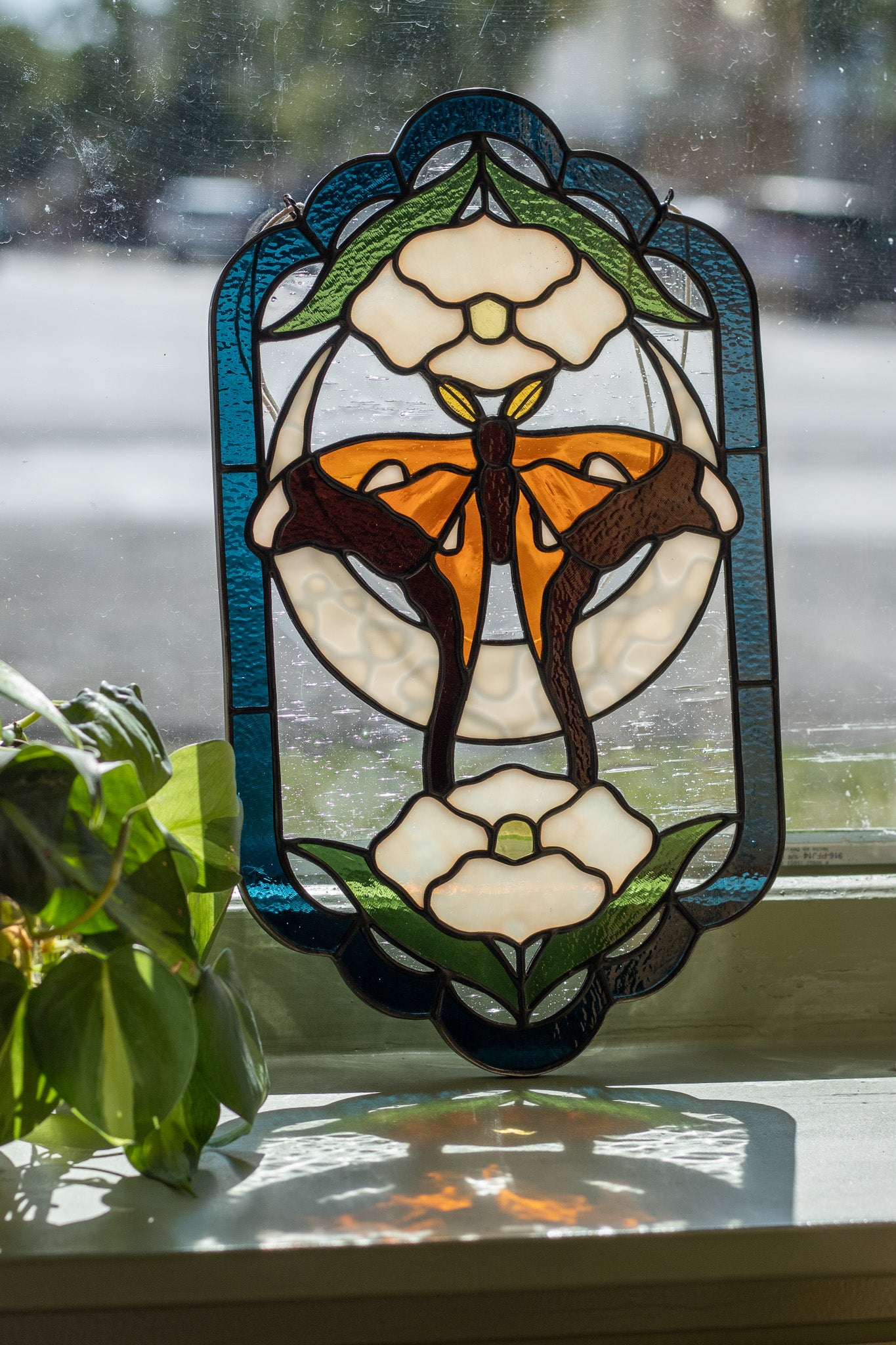 Hercules Moth Panel