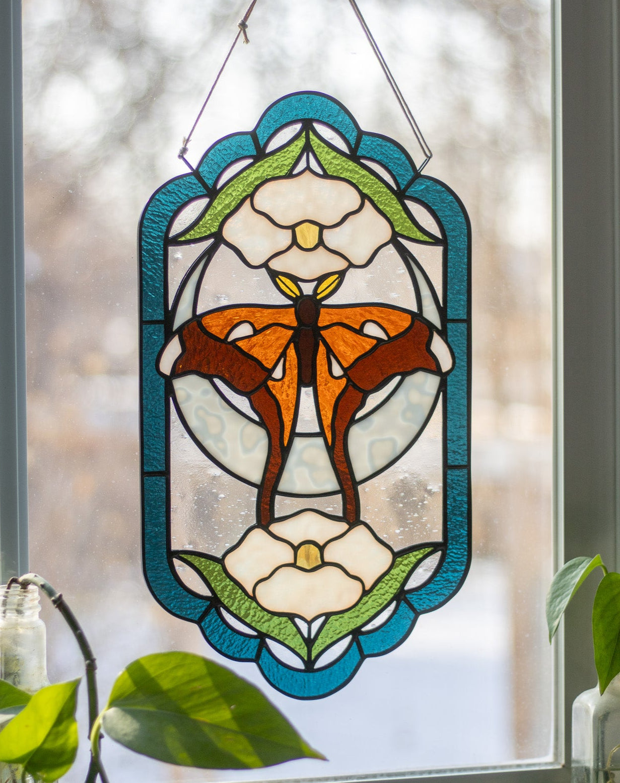 *Pre-Order* Hercules Moth Panel