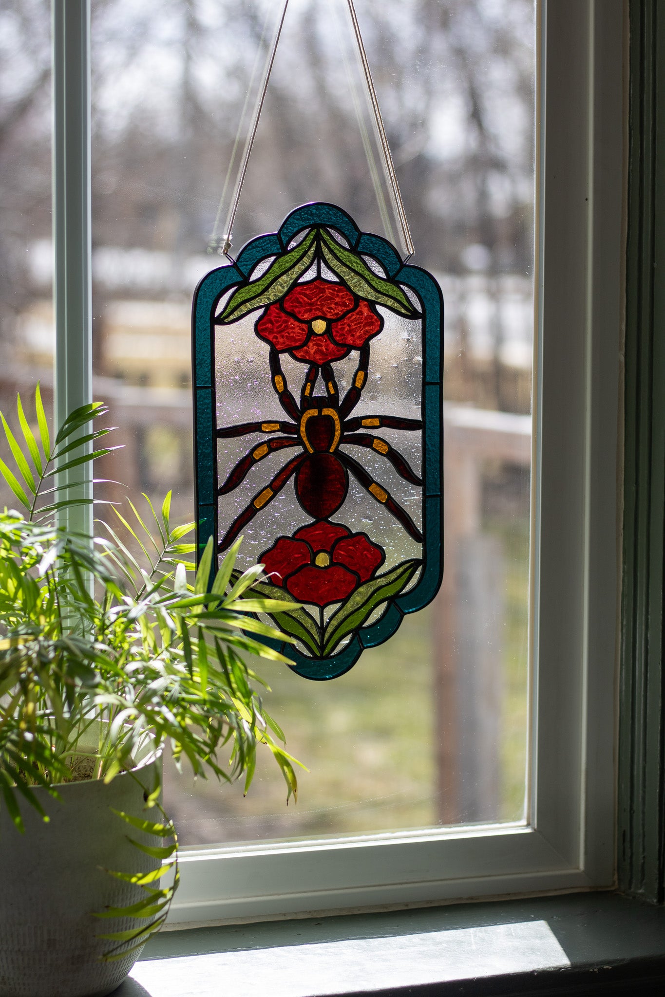 Tarantula Panel