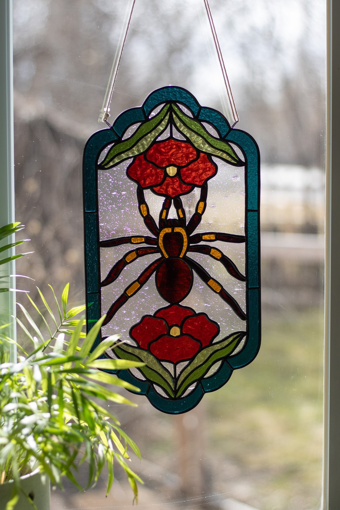 Tarantula Panel