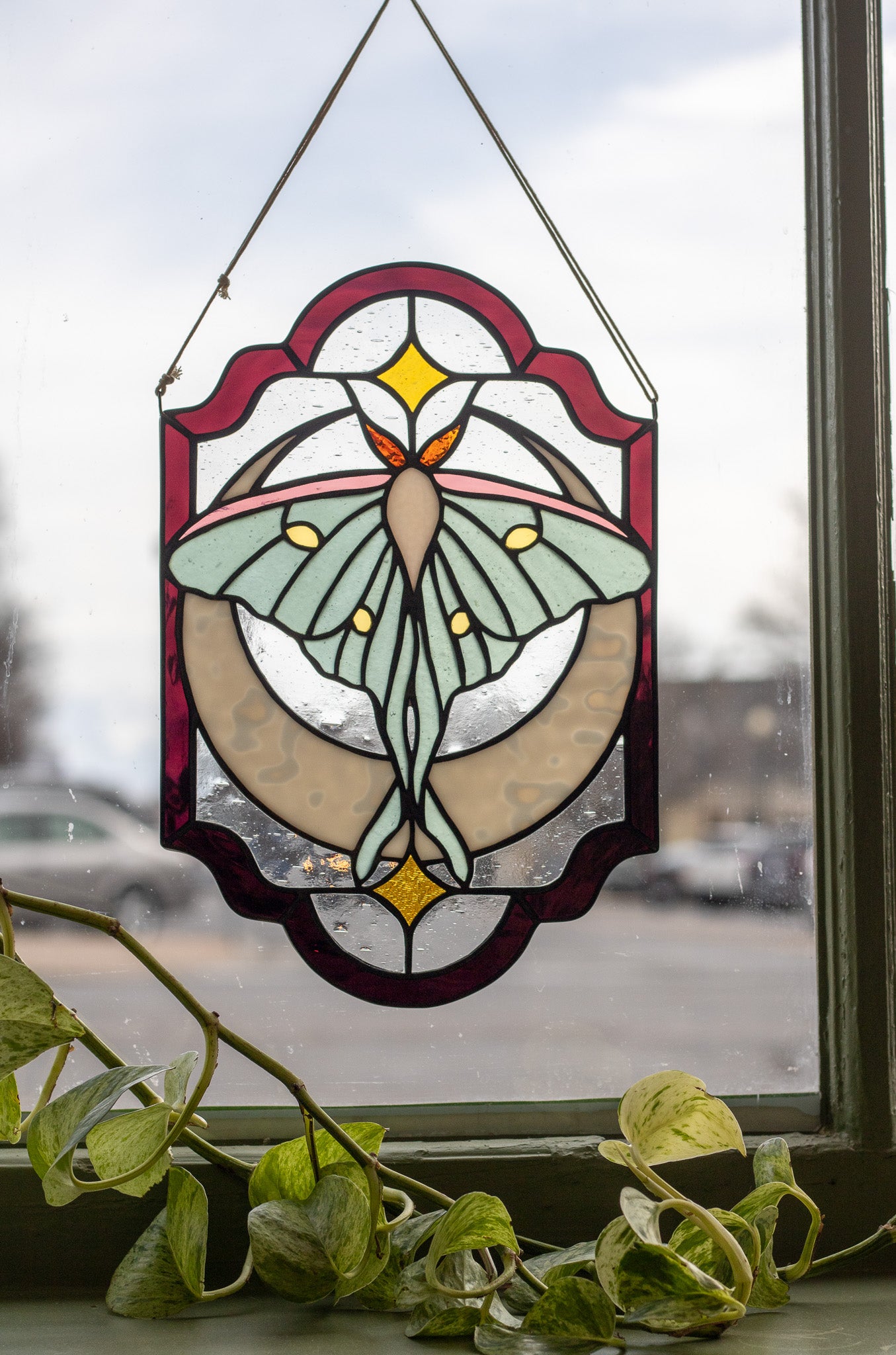 Luna Moth Panel
