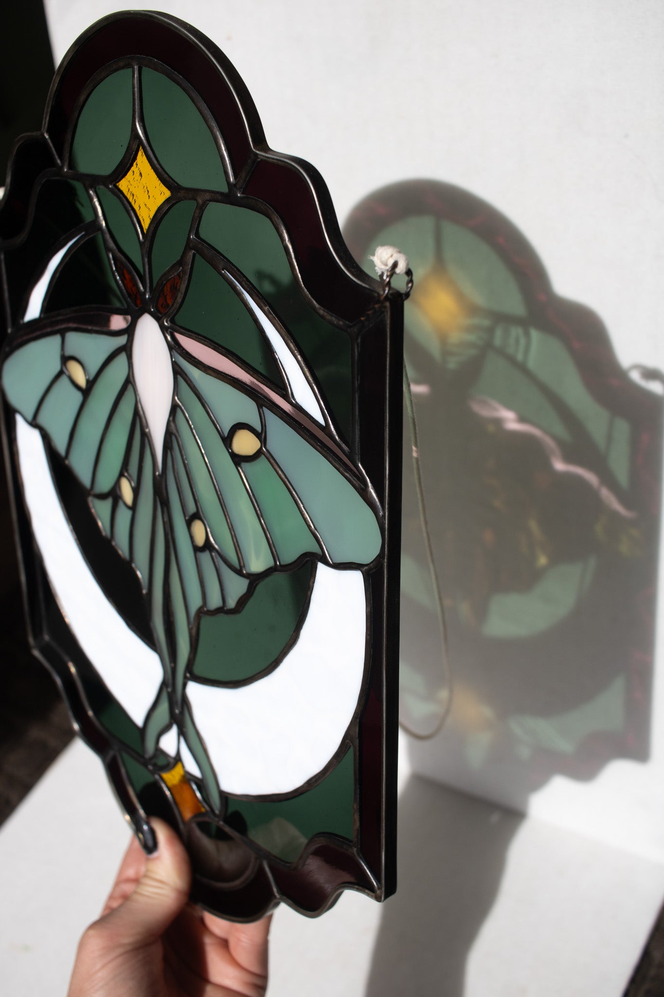 Luna Moth Panel