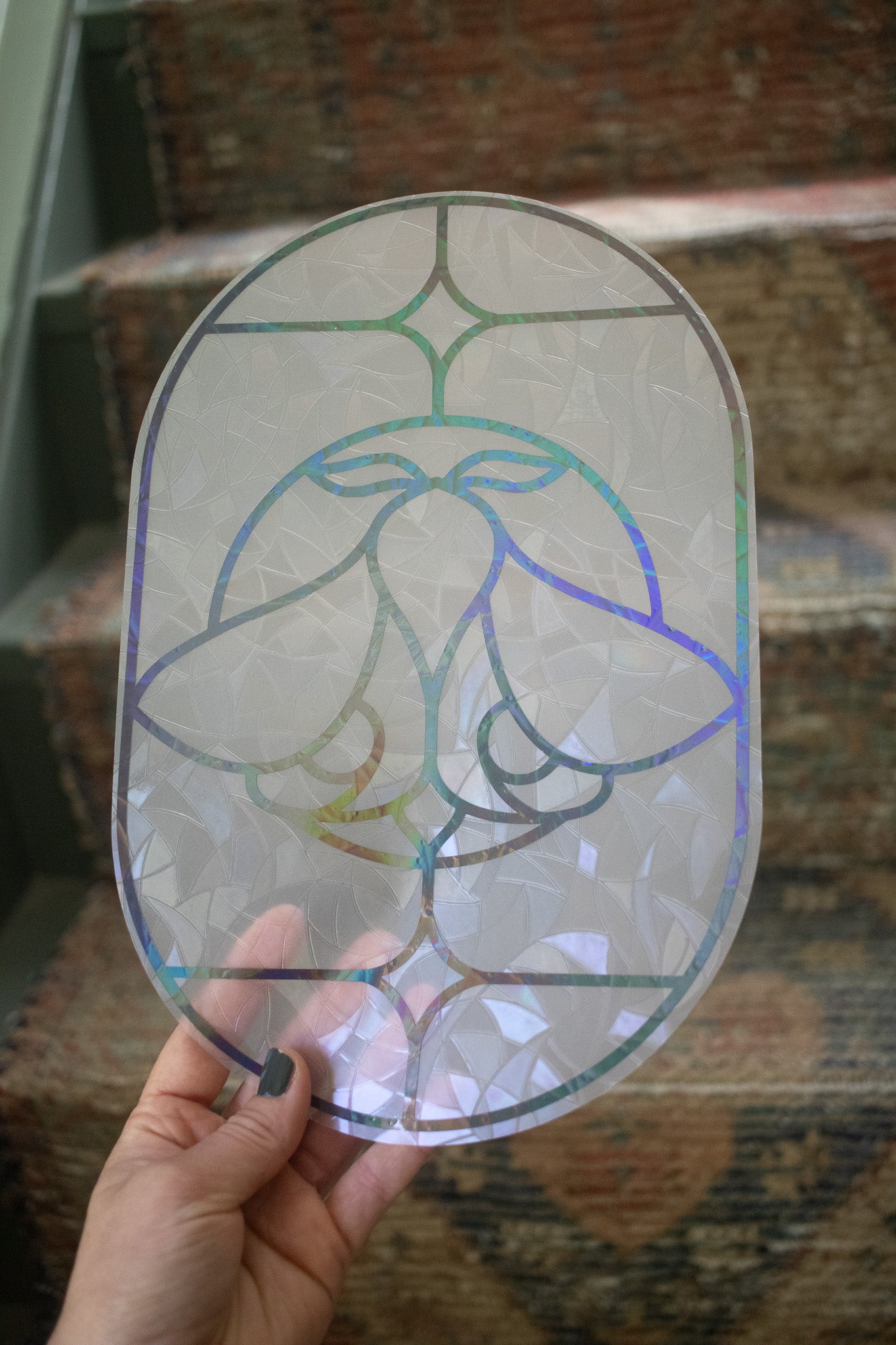 Moon Moth Window Cling