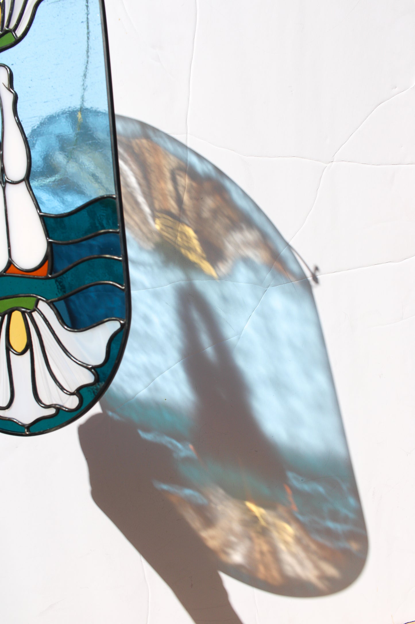 Matilija Swimmer Panel