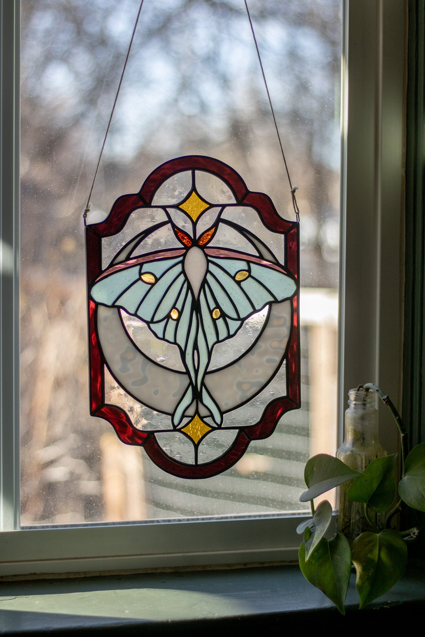 Luna Moth Panel
