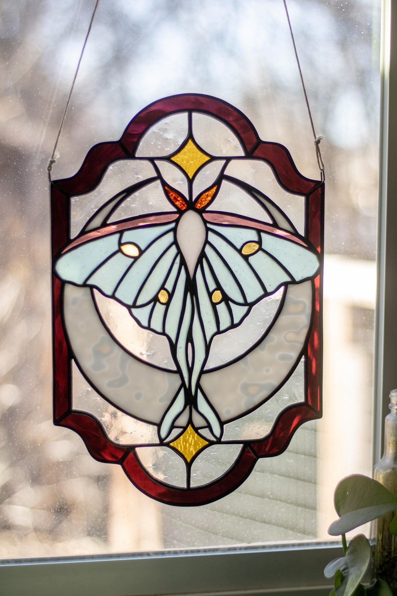 Luna Moth Panel