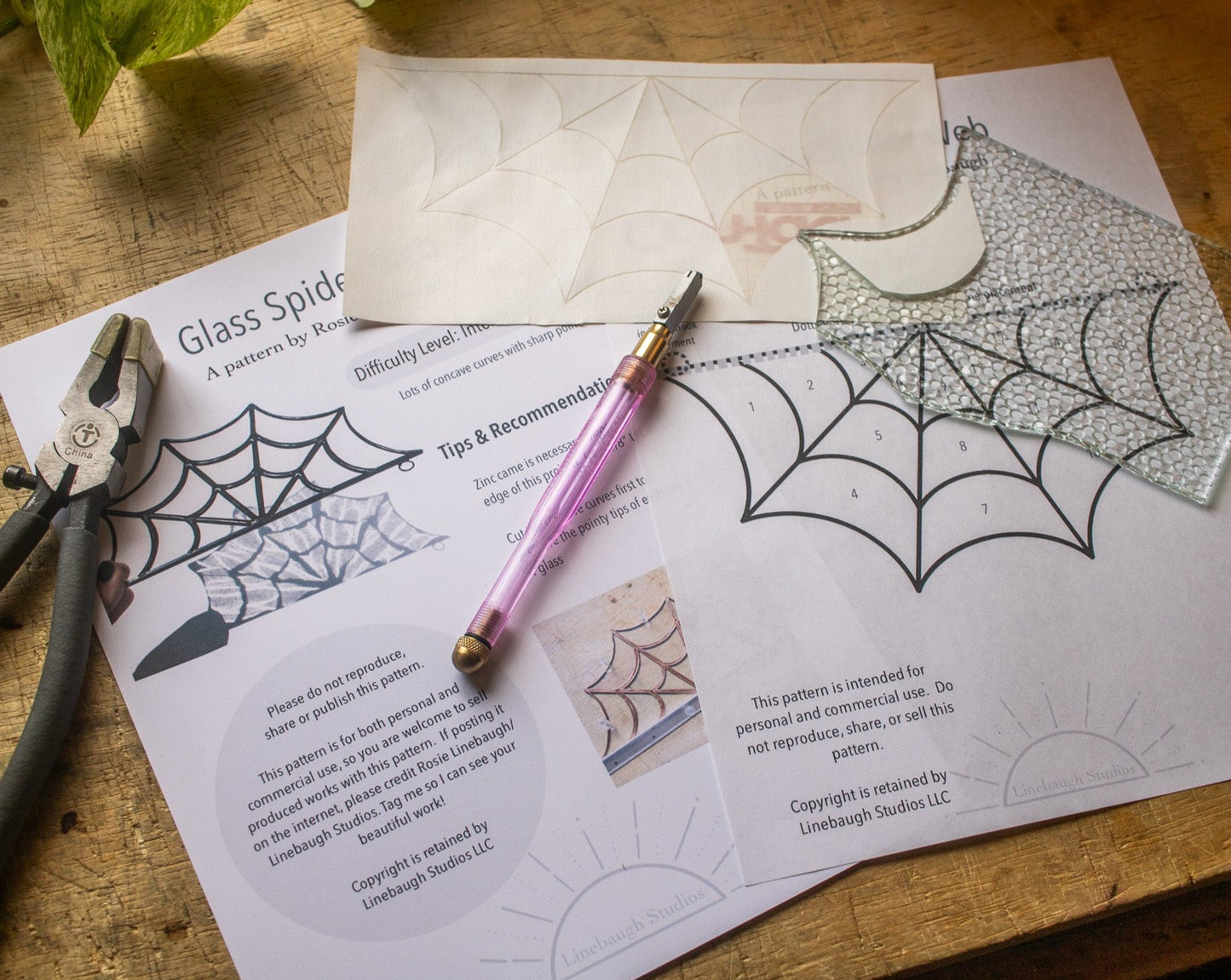 Pattern - Glass Spider Web
