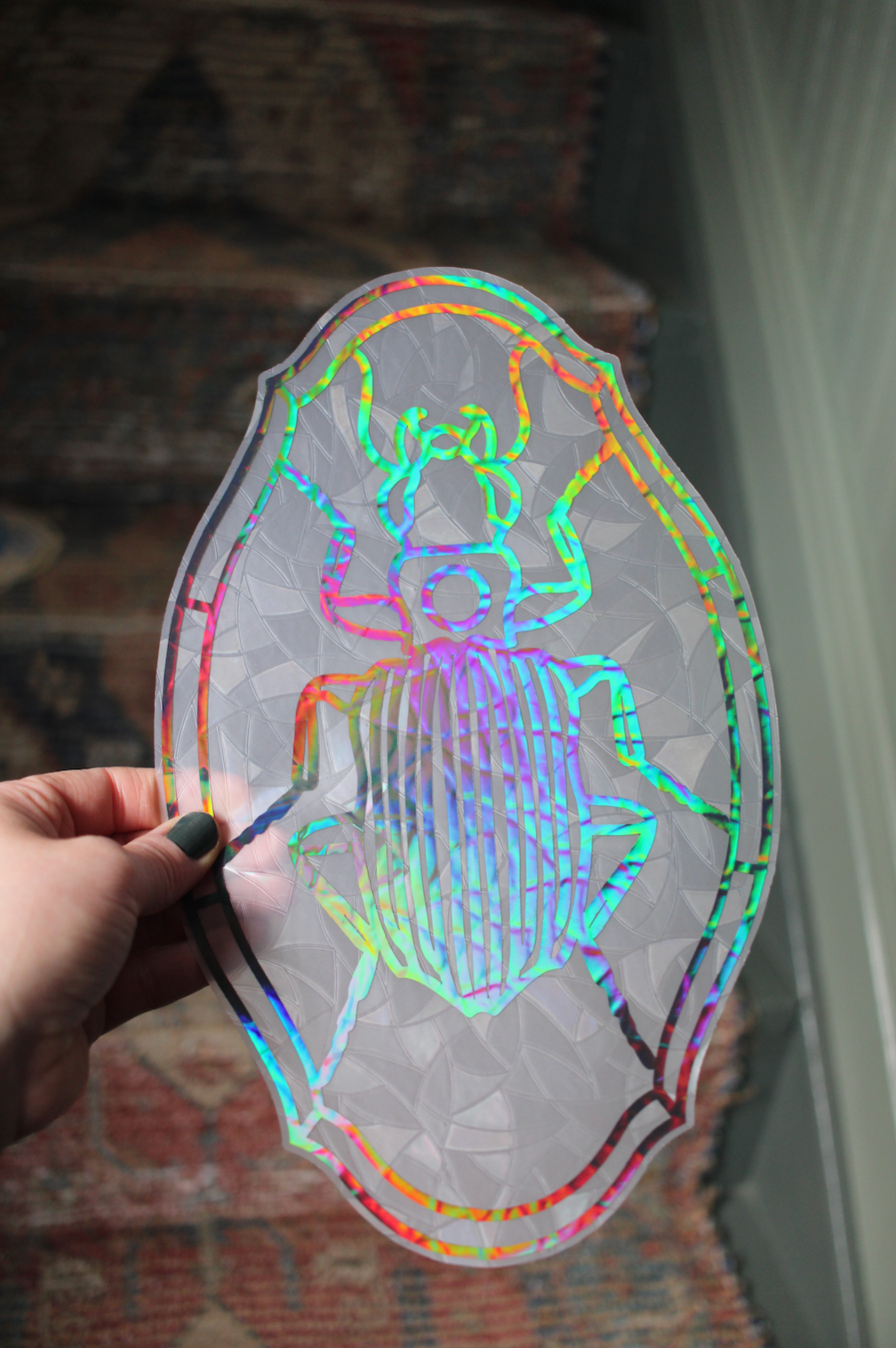 Bembidion Beetle Window Cling