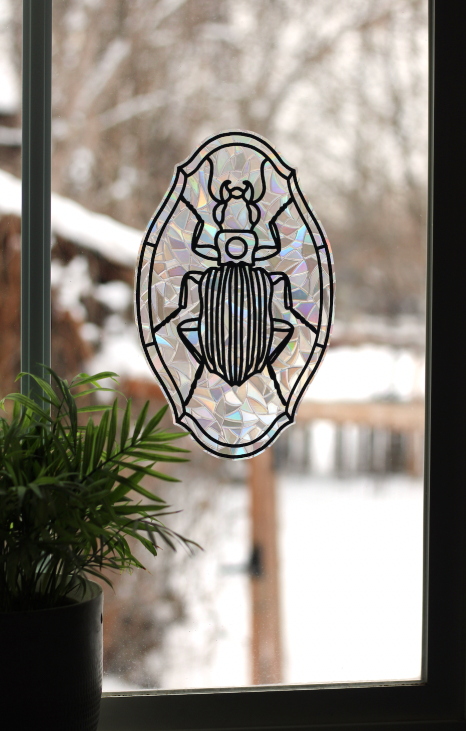 Bembidion Beetle Window Cling