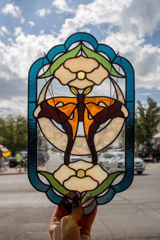 Hercules Moth Panel