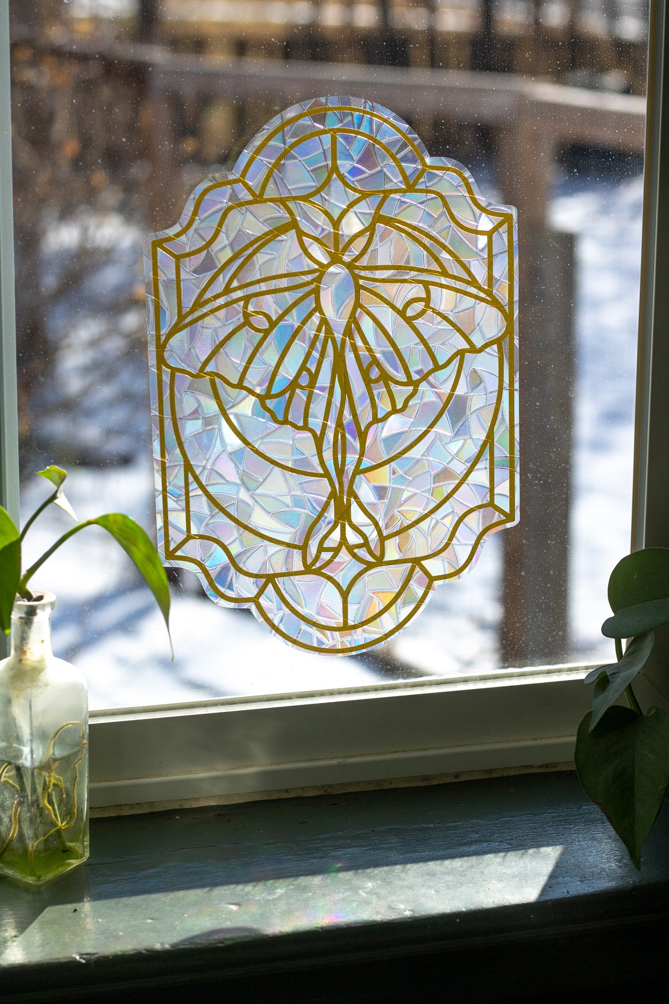 Luna Moth Window Cling