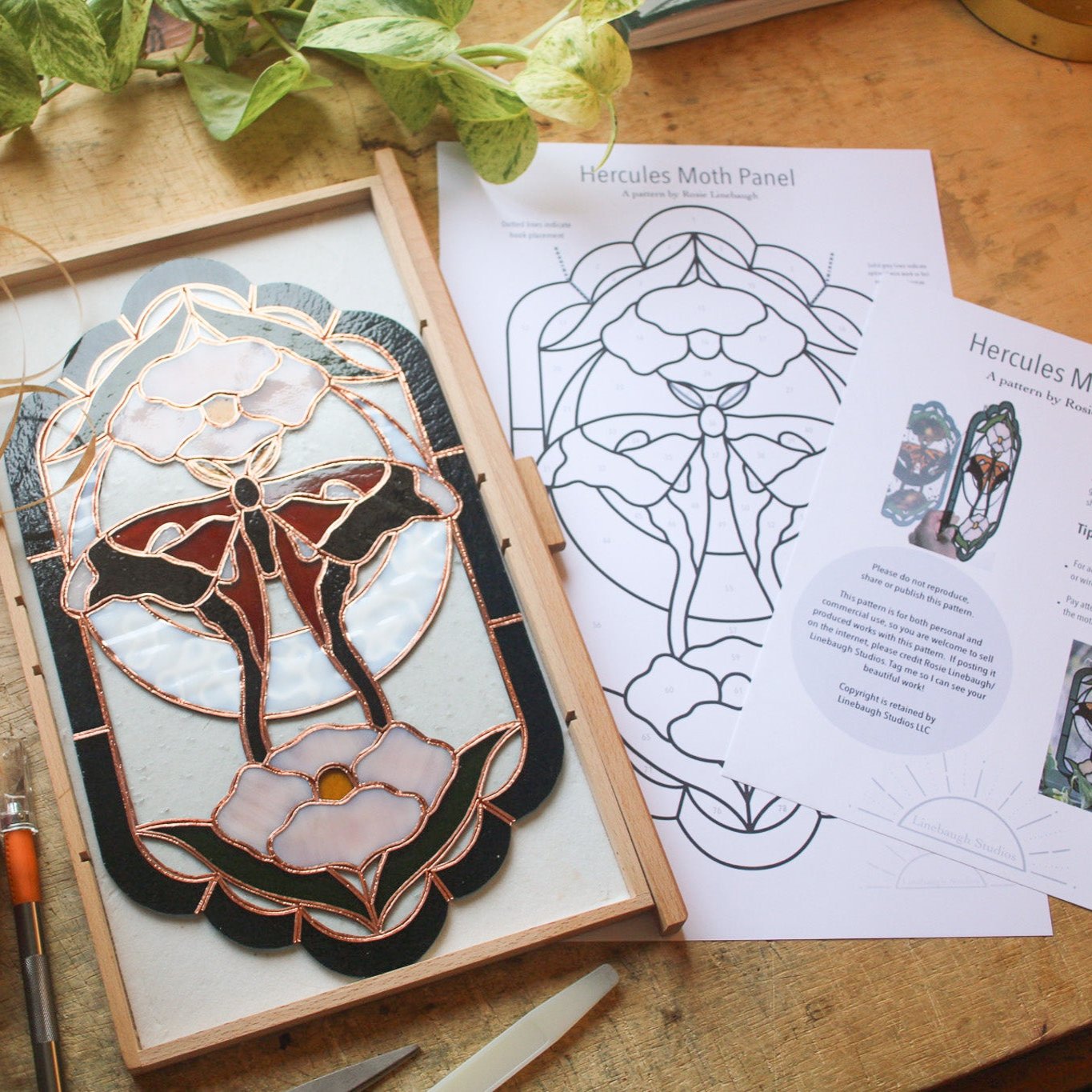 Pattern - Hercules Moth Panel