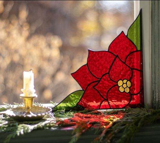 Corner Poinsettia