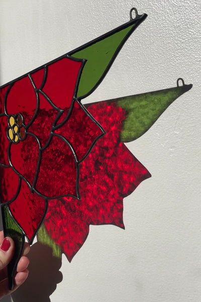 Corner Poinsettia