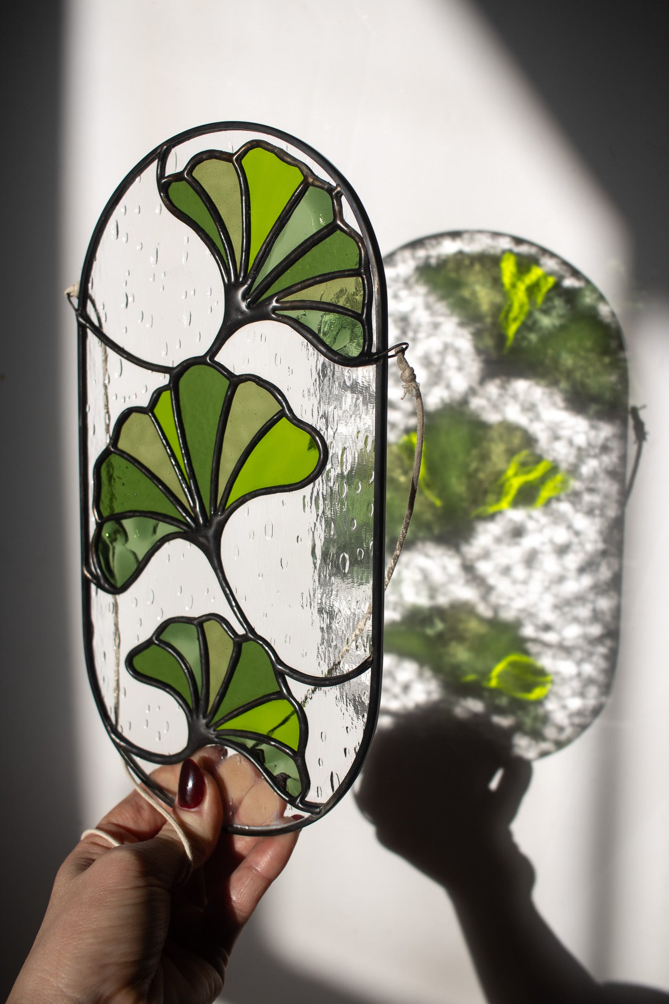 Large Green Ginkgo Leaves Suncatcher