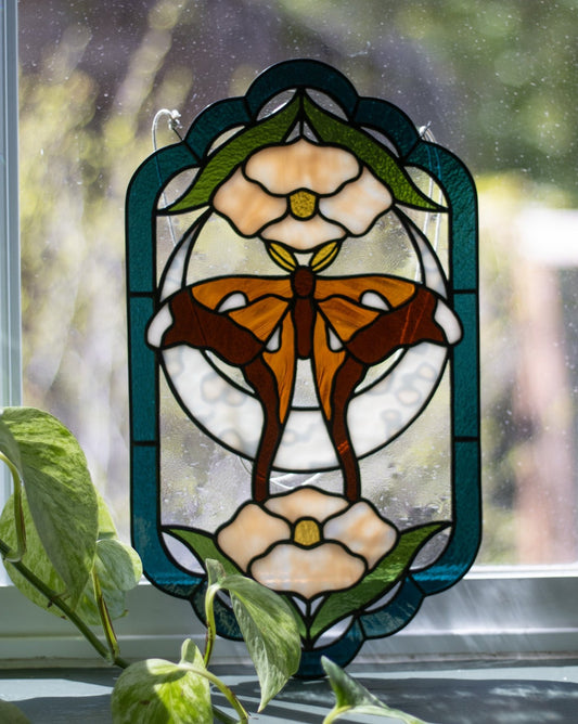 Hercules Moth Panel
