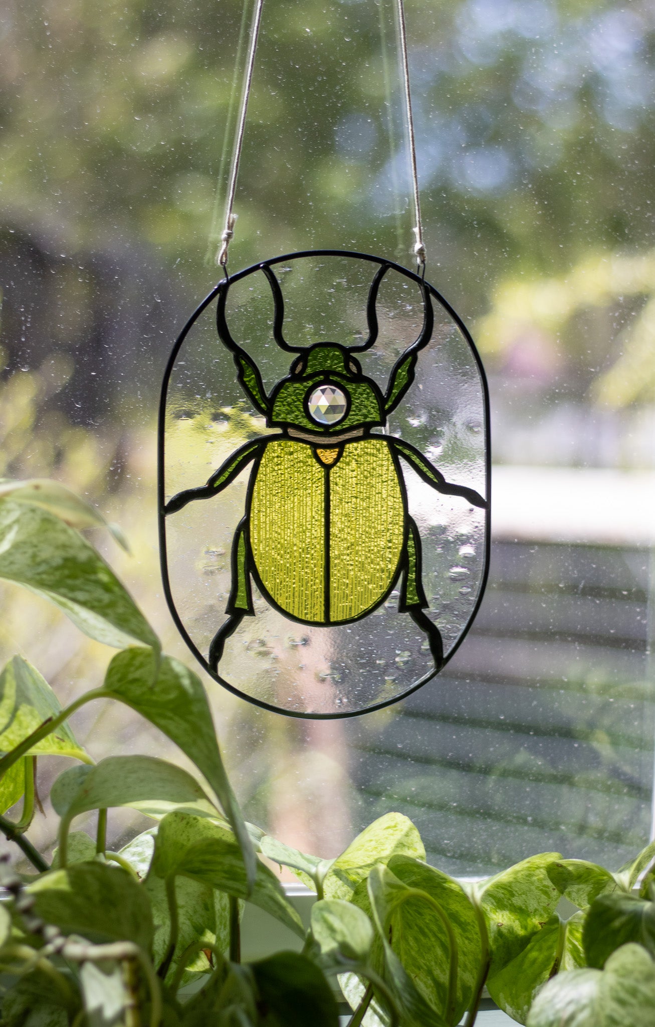 *Discounted* Scarab Beetle Suncatcher