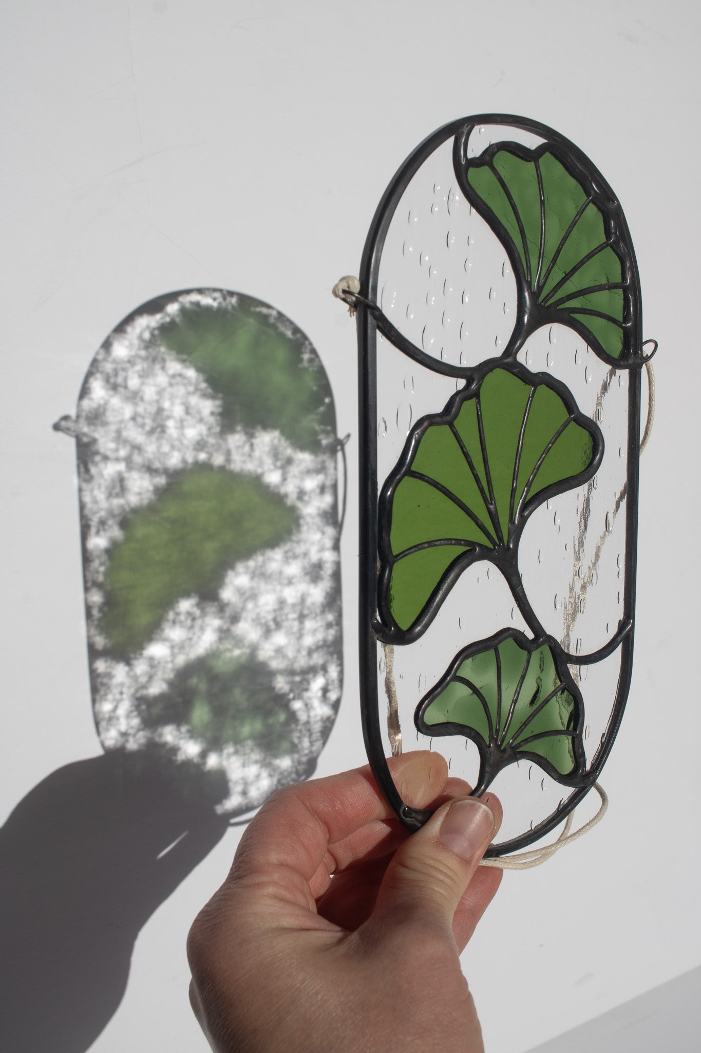 Green Ginkgo Leaves Suncatcher