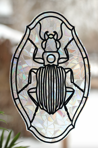 Bembidion Beetle Window Cling